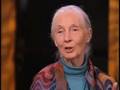 Jane Goodall on Role Zoos Play in Saving Wild Animals