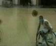 Pdm Treviso - Fada Salerno