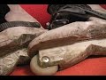 xsjado skate review