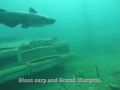 Ohio Video