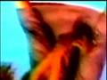 Assistir ao v�deo
