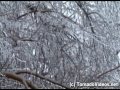 MASSIVE ICE STORM!  Norman, OK, Dec 10, 2007
