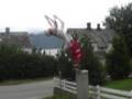 Evolution trickers (tricking sampler)
