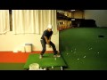Alex Noren Backflip Trick Shot Video. Pretty Sweet!