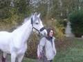 Vivent les chevaux! -Moondance-