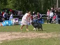VD + Vera VD + Vera