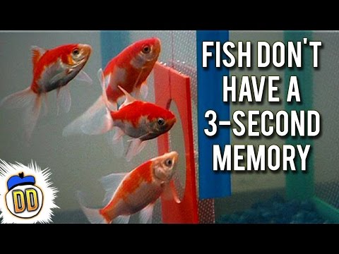 15 Facts You Thought Were True -- But Aren't
