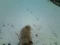 Let's snow♪