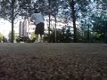 BBall Spree