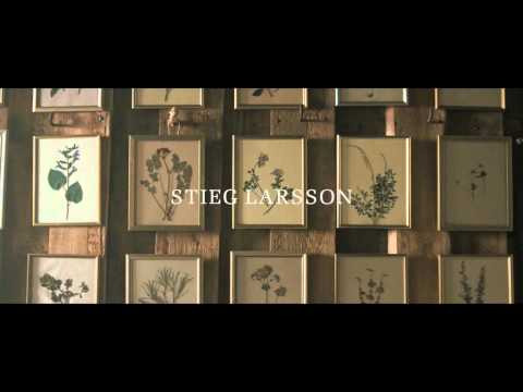 Stieg Larsson - Mannen die vrouwen haten