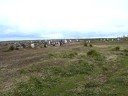 Falklands November 07 6
