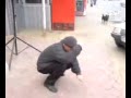Крыжановка- новое похождение''белочки''