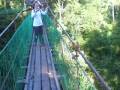 Danum Valley Canopy Walk