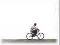 wheelies