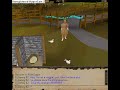 how-to-spot-a-runescape-scammer-full-version.html