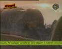 Ipem 112 - TV Escolar - Archivo 2008 - Programa 01 - Parte 6