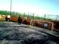 videos de frozen football tis th new crayz thornton grammar part 2