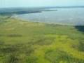 From Wetland to Wasteland