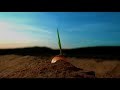 Angry Whopper Commercial