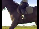 Dressage training 080505-3