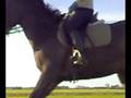 Dressage training 080505-3