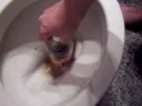 SHIT STOMP SHIT STOMP