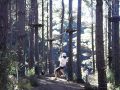flying fox
