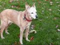 Bibob en Angeltje.wmv