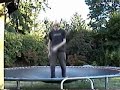 My video was featured on Champion's online show 
