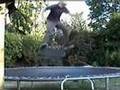 trampoline skating