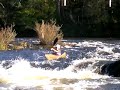 videos kayak