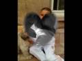 videos de Mon Film 3