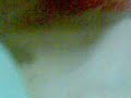 tony desangrado
