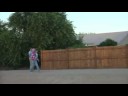 Animal Collective - Peacebone stomp video Animal Collective - Peacebone stomp video