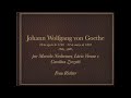 Johann Wolfgang von Goethe - Der Film