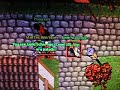 tibia
