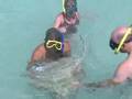 stingray city