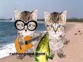 Fishy Song