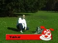 Discrockers Hundefrisbee Beginners Training Discrockers Hundefrisbee Beginners Training