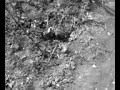 New 2008 Darkthrone - Too Old Too Cold