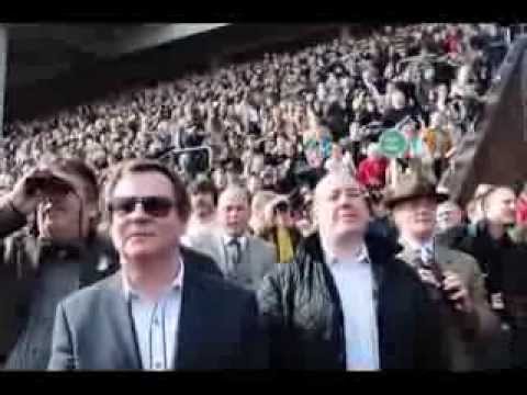 racing results cheltenham