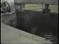 STOP Horse Slaughter GRAPHIC CLIPS!!!