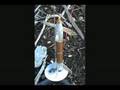 videos de Estes Astro Vision Rocket Launch