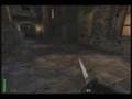 Wolfenstein-using-kn