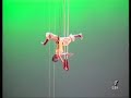 Cirque Hirsute, Bal Caustique