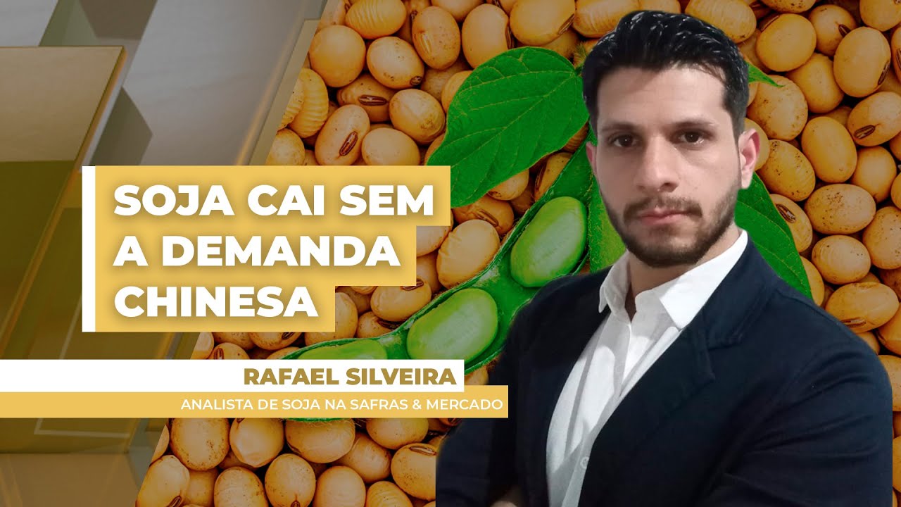 Soja cai em Chicago nesta 4ªfeira sem sinalização de demanda chinesa