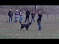 Click here to watch this video bosco von quellen der deome
