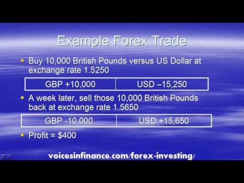 Guide to Forex Investing for Beginners