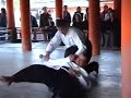 Hontai Yoshin Ryu Jujutsu - 16th Itsukushima Kobudo Enbu Hontai Yoshin Ryu Jujutsu - 16th Itsukushima Kobudo Enbu