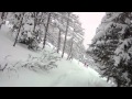 Powder Alarm: Enjoying the fresh snow in the forest of Lienz